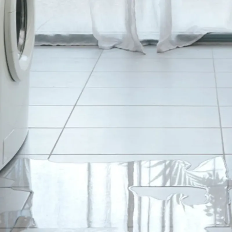 Appliance Leak Cleanup in Centerton, AR