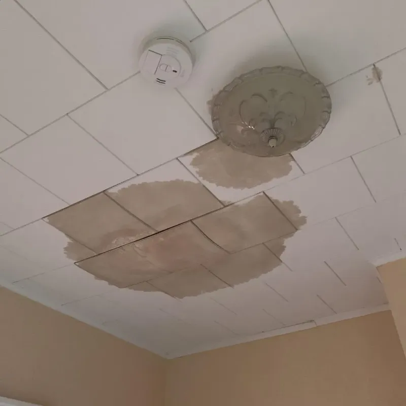 Ceiling Water Damage Repair in Centerton, AR